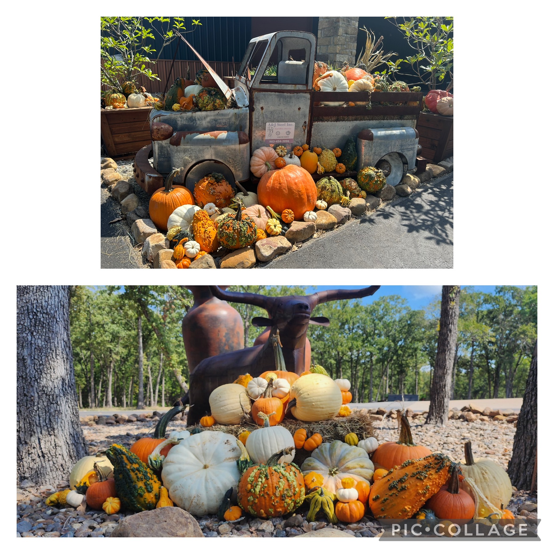 Holy Sheet - It's Fall!